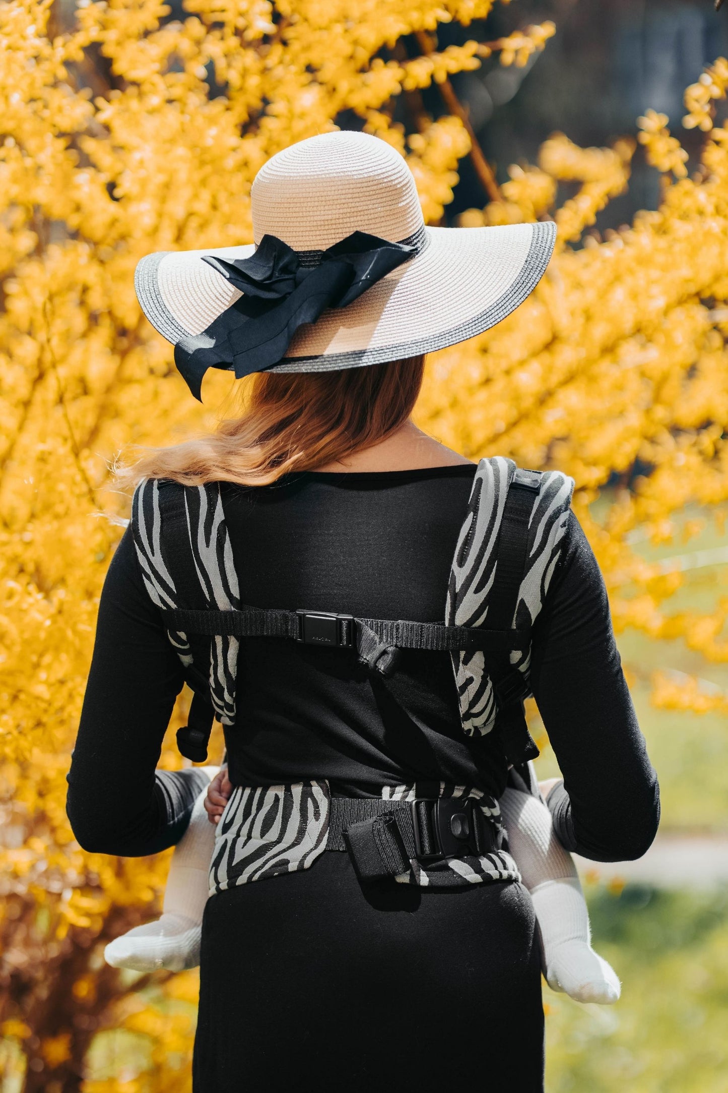 Zebra - Black & White