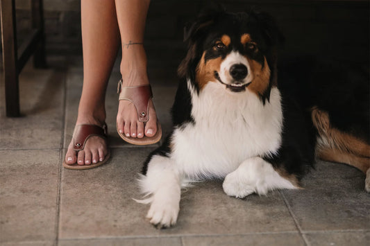 Sandale Promenade - Dark Brown