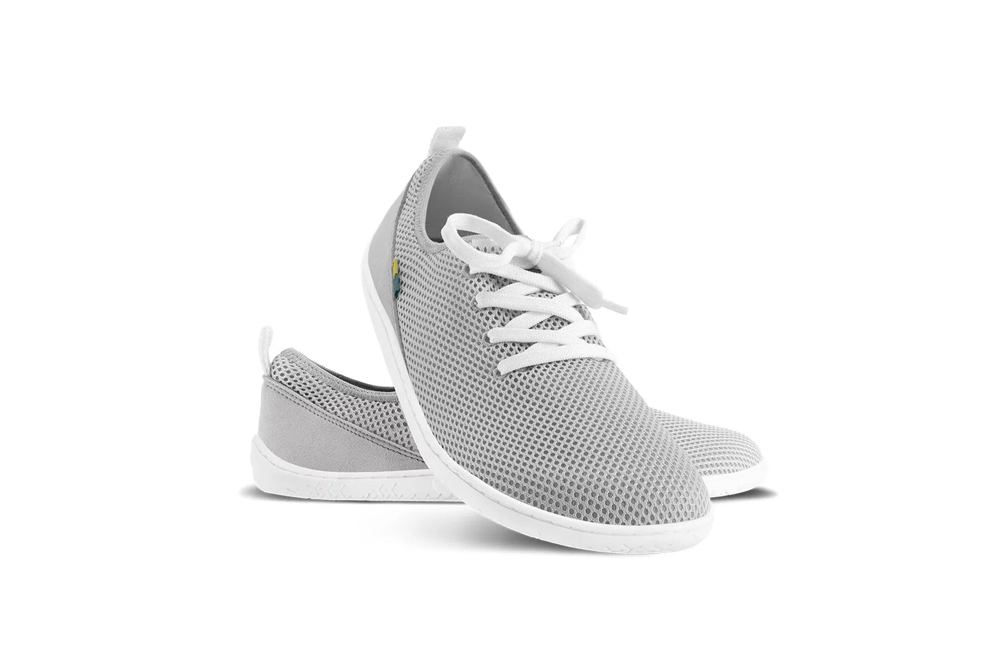 Whiz-Gris