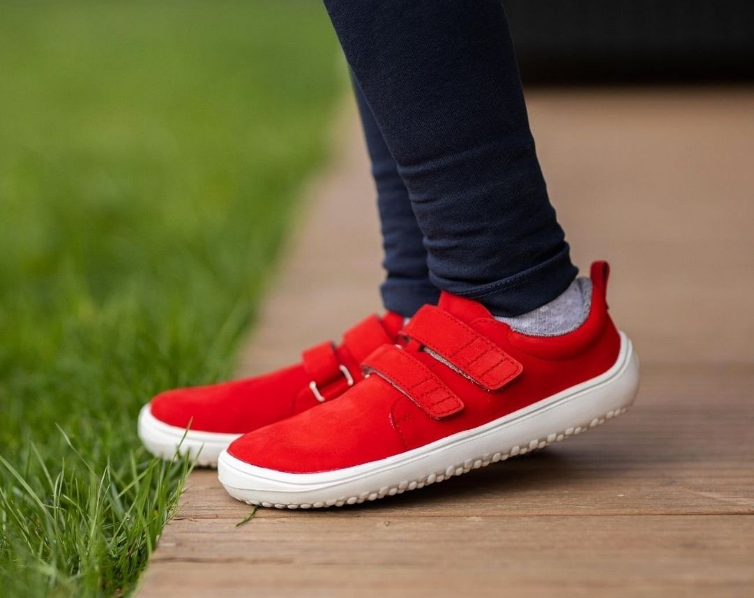 Jolly-Red